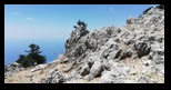 Kefalonia - Ainos National Park -20-06-2021 - Bogdan Balaban